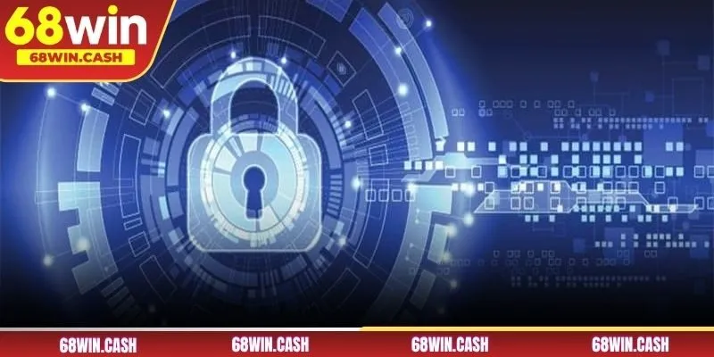 Quyền lợi và trách nhiệm hội viên tại 68WIN